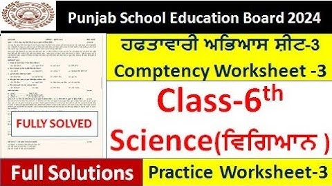 pseb competency based paper class 6th science worksheet 3 test 2024 6th class science practice sheet