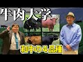 日本の和牛は黒毛和牛だけじゃないよ！他にも美味しい牛肉があります。４種の和牛の特徴を学ぶ！