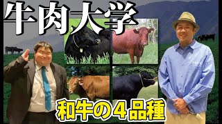 日本の和牛は黒毛和牛だけじゃないよ！他にも美味しい牛肉があります。４種の和牛の特徴を学ぶ！