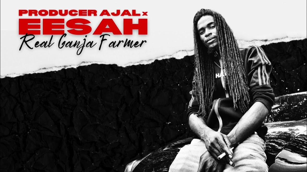 Producer Ajal, Eesah - Real Ganja Farmer (Official Audio) Producer Ajal, Eesah - Real Ganja Farmer (Official Audio)
