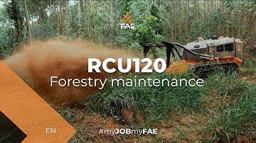 The remote controlled tracked carrier that can shred wood pieces up to 20 cm in diameter