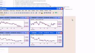 Урок 3 - Обучение Платформе - MaxiForex Урок 3 - Обучение Платформе - MaxiForex