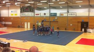 Cheer Sommer Open 2013 Pors Pride Paws Junior Elite