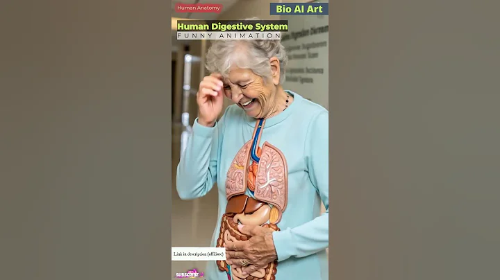 Human Digestive System Funny Animation | Gut Health | Human Anatomy | Bio AI Art | 03
