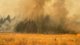 California Wildfire: Oak Fire near Yosemite National Park - July 24, 11 p.m. Update