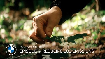 The Technology Bringing Forests Back to Life| Forces of Nature | Episode 4: Reducing CO2 Emissions