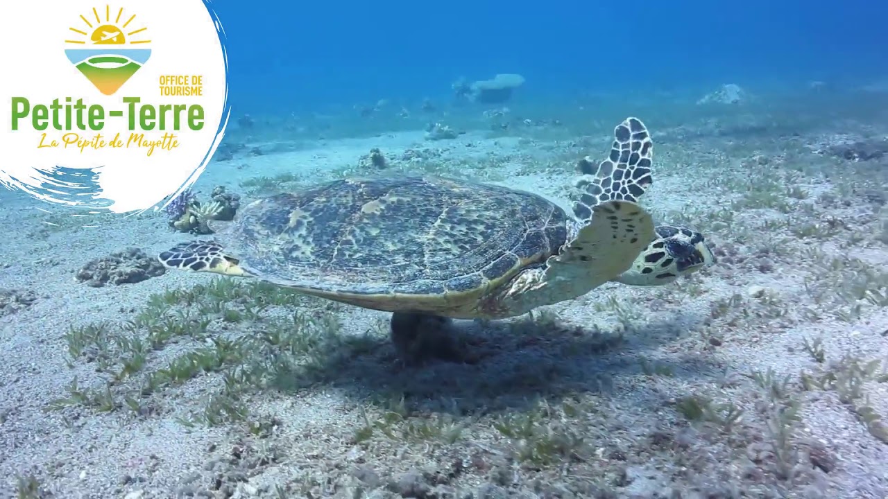 Petite-Terre, la pépite de Mayotte