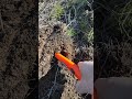 коп находки 2025 Казахстан #1 #металлоискатель #комрад #коп #находки #уральск