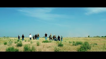 15 Years of Mitigation Banking