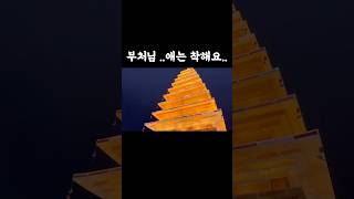 부처님 애는 착해요..
