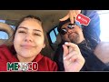 Vlog en MEXICO❤️/ Genesis Aguayo