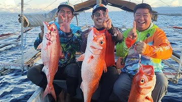 VERTICAL JIGGING TRIPLE AND DOUBLE HOOK UP. RUBY SNAPPER FEEDING FRENZY. #fish #verticaljigging 
