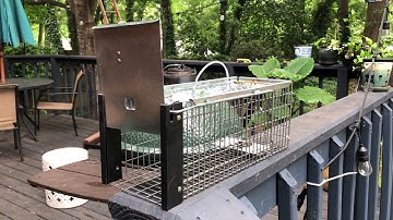 Havahart Trap for Chipmunks & Squirrels