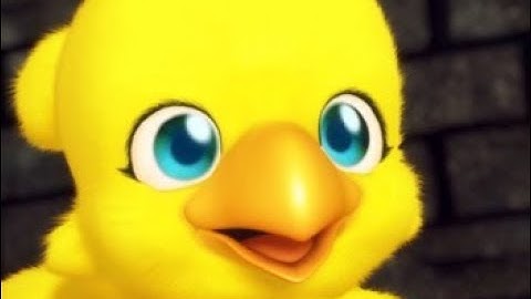 Chocobo