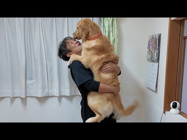 What will happen? I'm going to set up a pet camera and