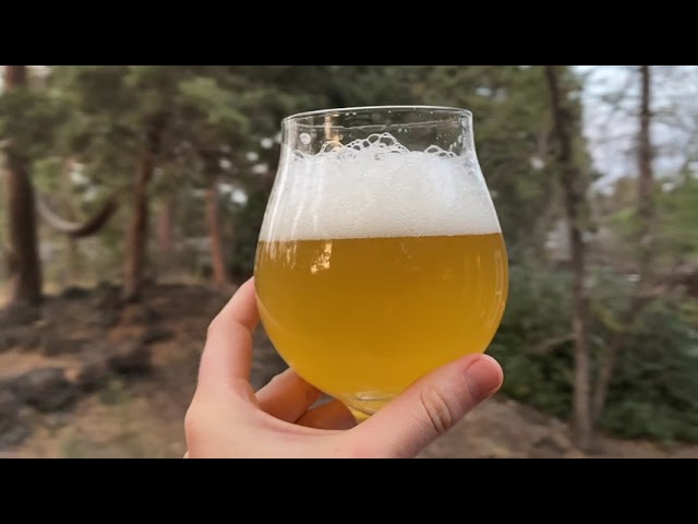 Evasion Brewing (Total) Eclipse Of The Tart Kettle Sour