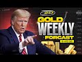 GOLD Weekly Forecast in Hindi/Urdu | XAUUSD 10 - 14 Feb 2025 Forecast | Forex Insights