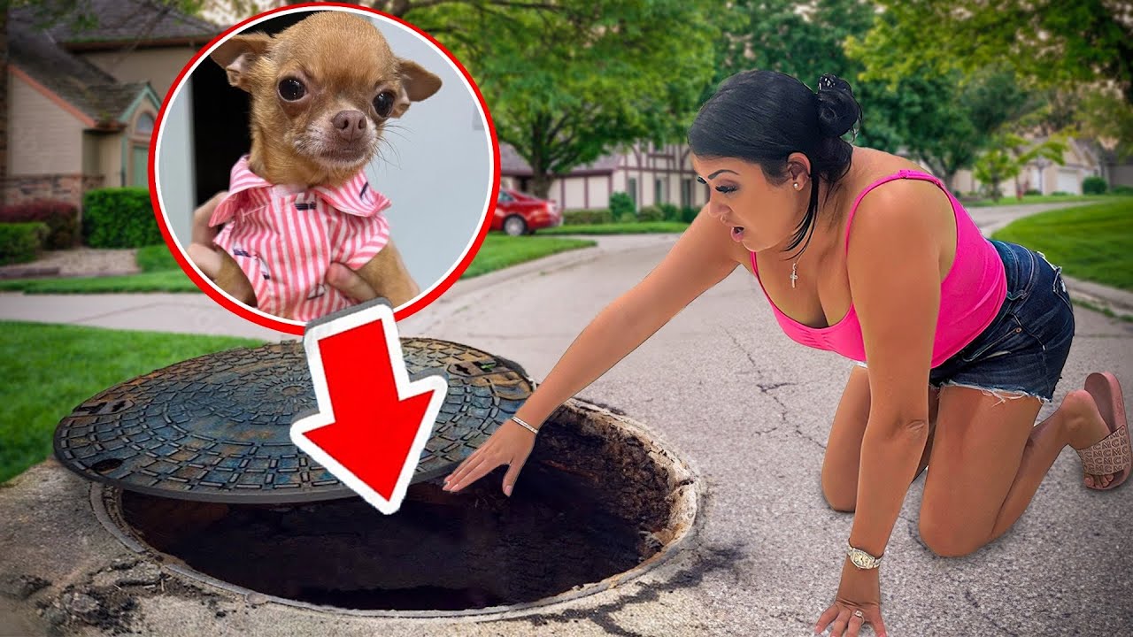 Я НЕ МОГУ ПОВЕРИТЬ, что наша СОБАКА упала в канализацию