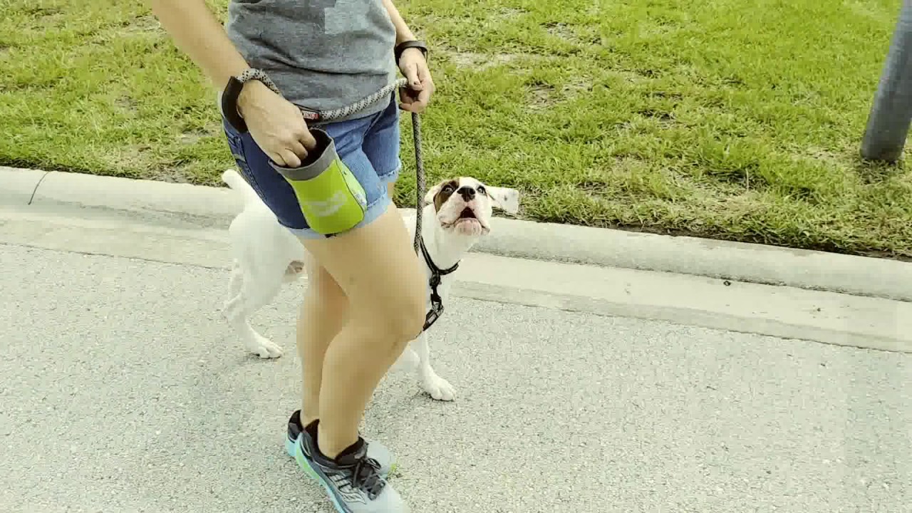 All Videos