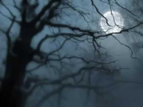 بديت القصة تحت الشتي نور بازراباشي 