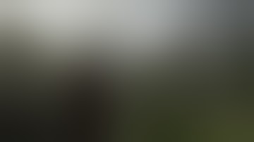 The Last of Us™ Part II GAMEPLAY PART 6 - 4K 60FPS HDR - NO COMMENTARY