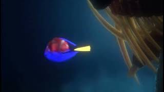 Finding Nemo: We Did It