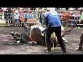 ¡¡AHORA SI ESTIRO LA PATA EL TORO Y CON EL JINETE ARRIBA!! Rancho La Pionera En Nahuatzen Michoacan