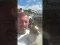 Macdonald's in Tenerife