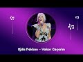 Ajda Pekkan Yakar Geçerim Official Audio