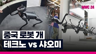 중국 로봇 개 '테크노 VS 샤오미' MWC 현장 모습 | MWC 24