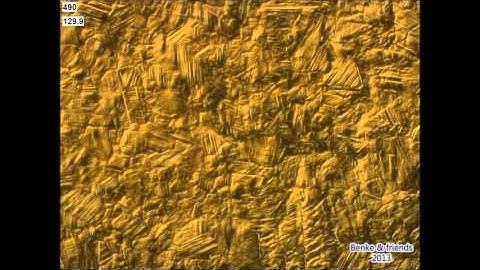 Martensitic Transformations in FeMn(Cr) TWIP Steel