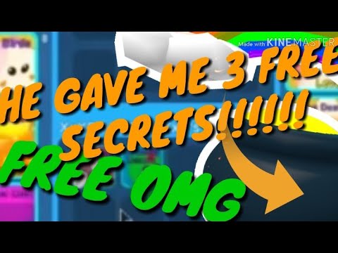 Omg He Gave Me Free Secret Pets Bubble Gum Simulator By Thynx