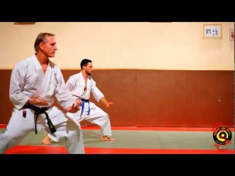 Nihon Tai Jitsu - 2e kata