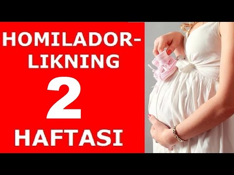 Video: Homiladorlikning 2 Xaftasi: Tavsif, Belgilar, Test