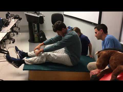 Equilibrium Reactions - Sitting & Standing