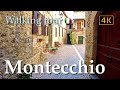 Montecchio (Umbria), Italy【Walking Tour】History in Subtitles - 4K