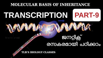 Molecular Basis of Inheritance|Part 9|Transcription|Machinery and Enzymes|Class 12 |Zoology