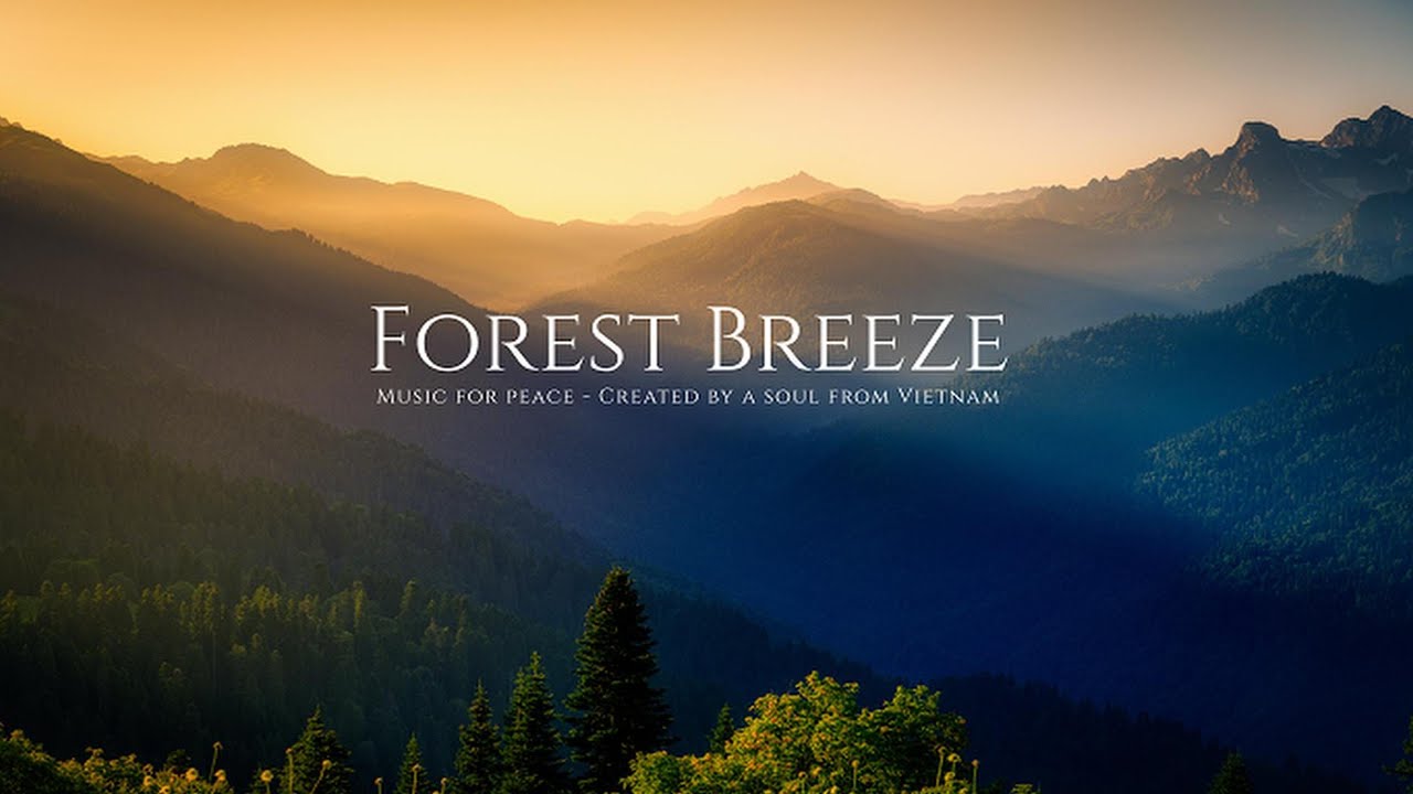 🌿 Forest Breeze — Piano & Flute Music for Deep Relaxation | Sleep & Meditation | SilentNote