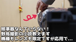 照準器なんていらない！野鳥撮影の小技教えます、機種もレンズも限定ですが応用で使えると思います