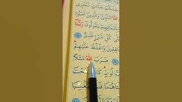 سورة التحريم الأية 9 إلى 10 بصوت سعد الغامدي
