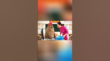 Capy đi học ngày đầu tiên và cái kết #capybara