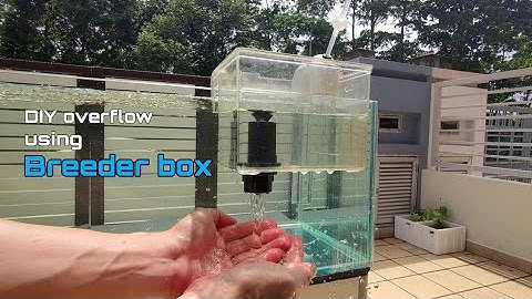 Simple DIY overflow system using a breeder box