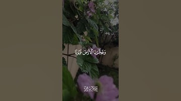 {فدعا ربّه انّي مغلوبٌ فانتصر}     القارئ: أسلام صبحي🌿🌿