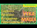 Из Саранска к Утке Маше