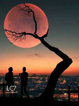 takut terulang #storywa30detik #storysedih #storywa