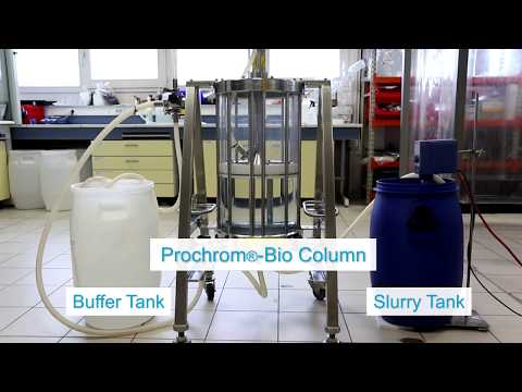 Elemental packing - Prochrom®-Bio chromatography column