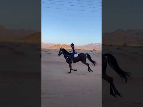 رفيحي ياتل قلبي الخياله جوري ماشاءالله ابلور