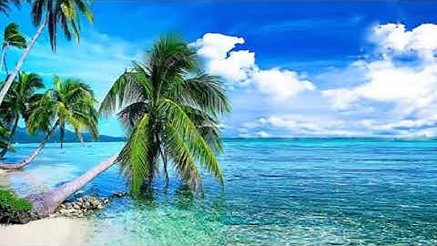 (يوم ترى المؤمنين والمؤمنات ) تلاوة من سورة الحديد للقارئ طارق محمد