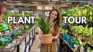 🪴Plant Shop Tour 2026 | Exploring Singapore's Biggest Plant Shop | A Popular Plant Paradise 🌿