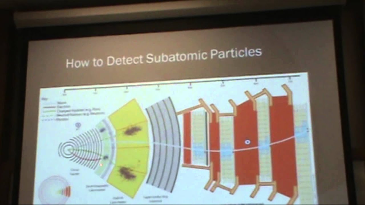 The Search for the Truly Elementary Particle by Britney Rutherford ...